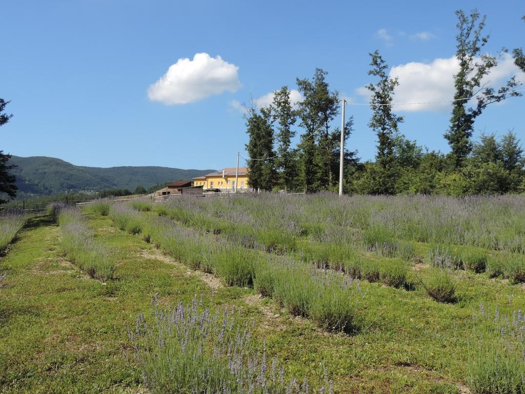 הוילה בורגו ואל די טארו Societa Agricola Cacigolara מראה חיצוני תמונה